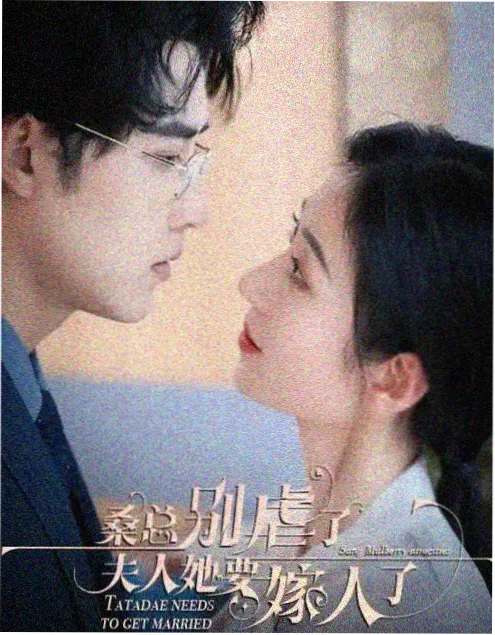 雾港往事 电视剧在线观看